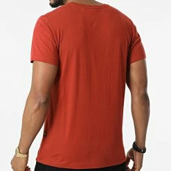 Remise 🎁 Tee 👕 Shirt D16411 Brique de G-Star 🔥 -G-Star Soldes g star 298466 D16411 336 1199 20220120T155438 04